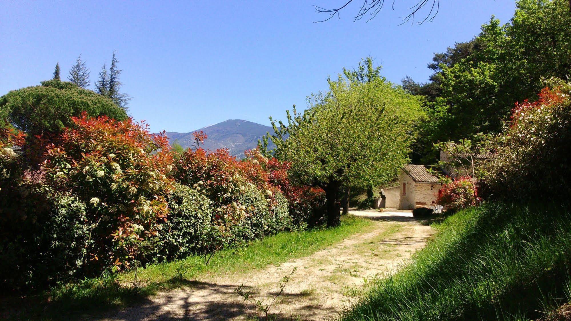 Bed and Breakfast Le Mas De Cocagne En Provence Malaucène Exteriér fotografie